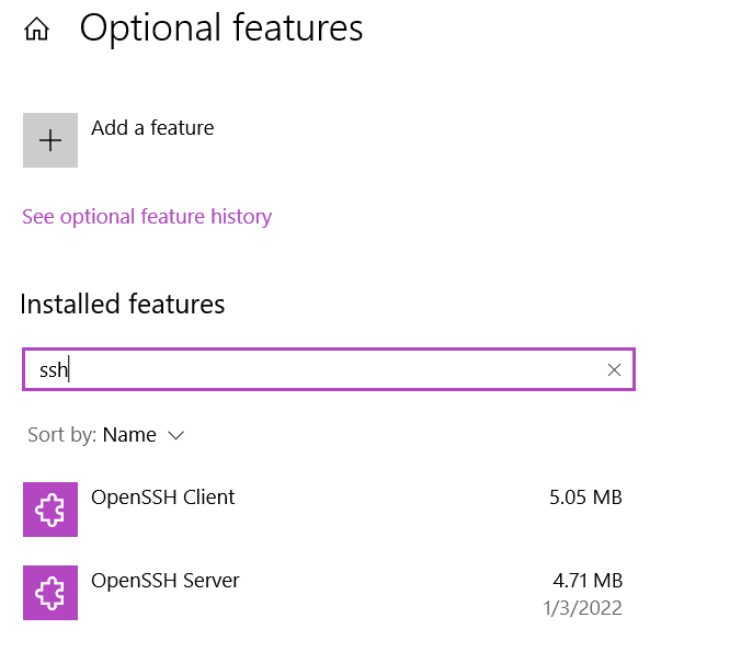 Open SSH in Apps & Features of Windows